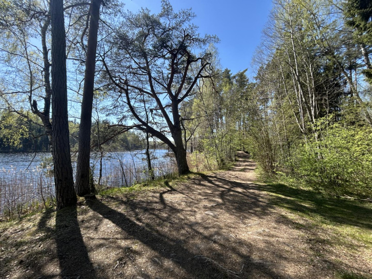 Parduodamas sklypas Paalksnės k., Molėtų r. sav., 350 a ploto 29