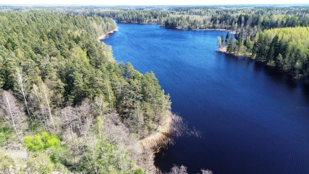 Parduodamas sklypas Paalksnės k., Molėtų r. sav., 350 a ploto 7