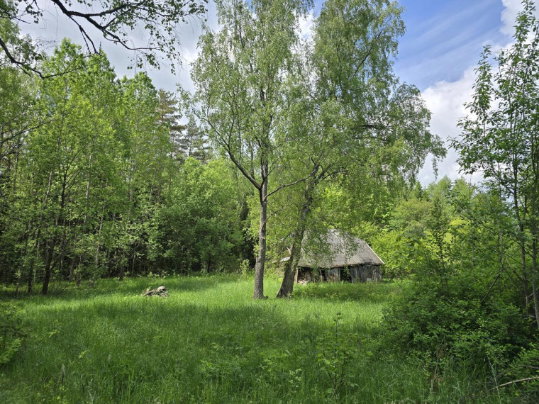 Parduodamas namas Leoniškės vs., Ignalinos r. sav., 88.93 m² ploto 4 kambariai 10