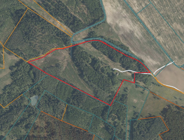 Parduodamas namas Leoniškės vs., Ignalinos r. sav., 88.93 m² ploto 4 kambariai 12