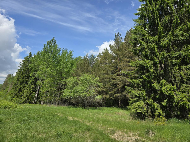 Parduodamas namas Leoniškės vs., Ignalinos r. sav., 88.93 m² ploto 4 kambariai 13