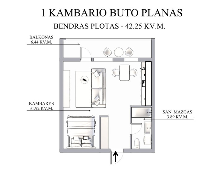 Parduodamas butas Žirmūnų g., Vilniaus m., Vilniaus m. sav., 42.25 m2 ploto, 1 kambariai 22