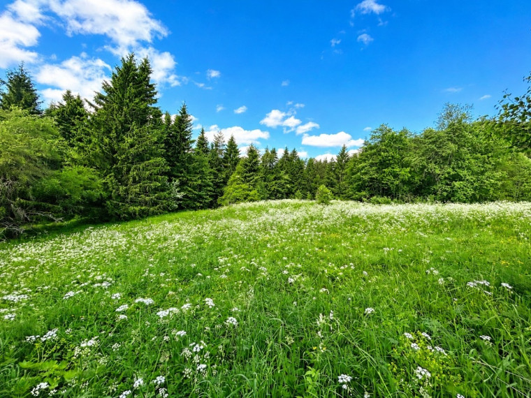 Parduodamas  sklypas Ignalinos r. sav., Zatišiaus k., Zatišiaus k., 80 a ploto 4