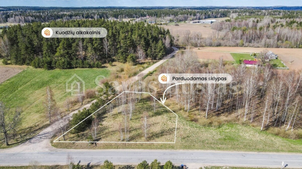 Parduodamas  sklypas Lieplaukės k., Telšių r. sav., 17 a ploto 5