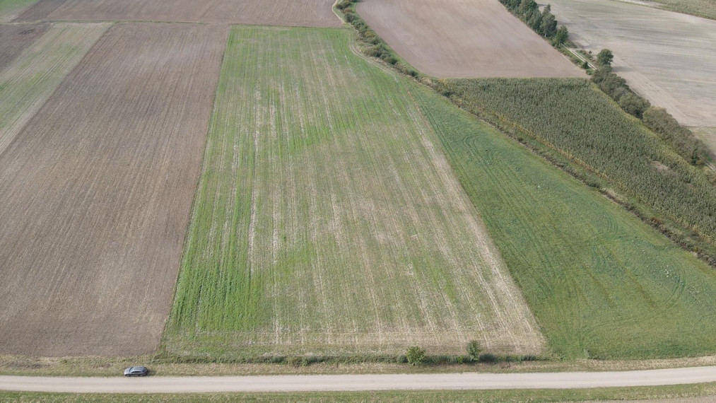 Parduodamas sklypas Slavikų k., Šakių r. sav., 300 a ploto 2