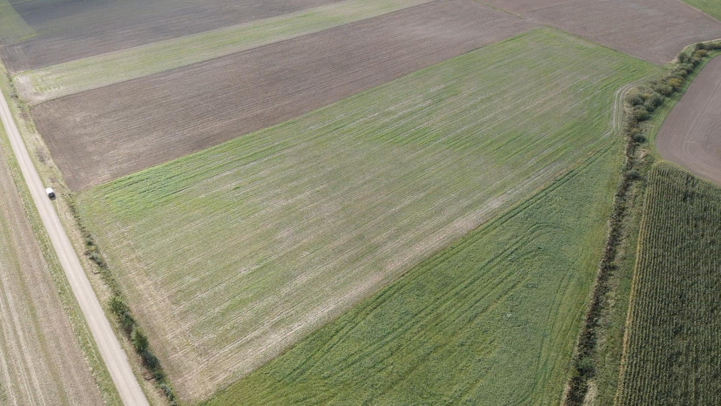 Parduodamas sklypas Slavikų k., Šakių r. sav., 300 a ploto 3