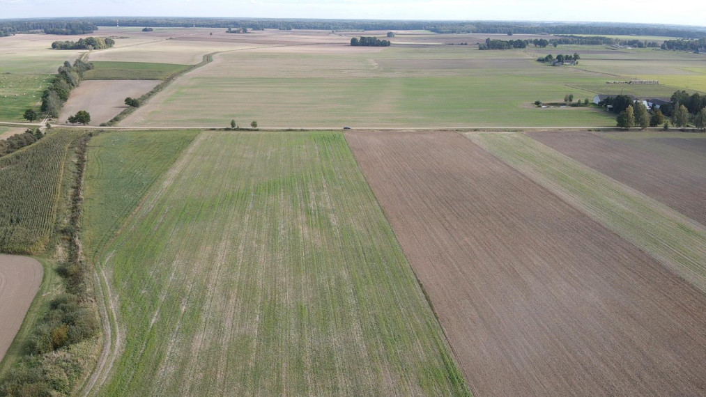 Parduodamas sklypas Slavikų k., Šakių r. sav., 300 a ploto 4