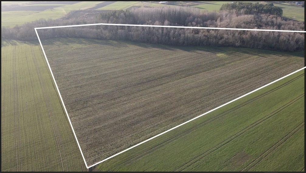 Parduodamas sklypas Levaniškių k., Pasvalio r. sav., 545 a ploto 1