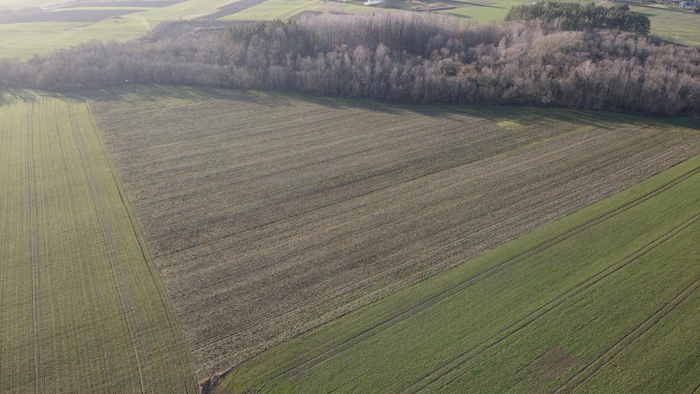 Parduodamas sklypas Levaniškių k., Pasvalio r. sav., 545 a ploto 3