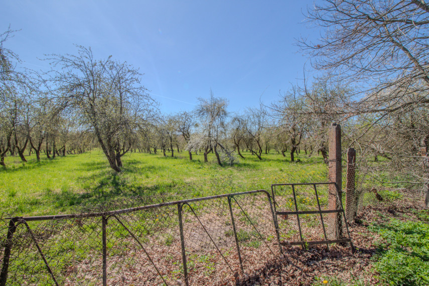 Parduodamas namas Panemunės g., Kėbliškių k., Prienų r. sav., 92.28 m2 ploto, 1 aukštai 20