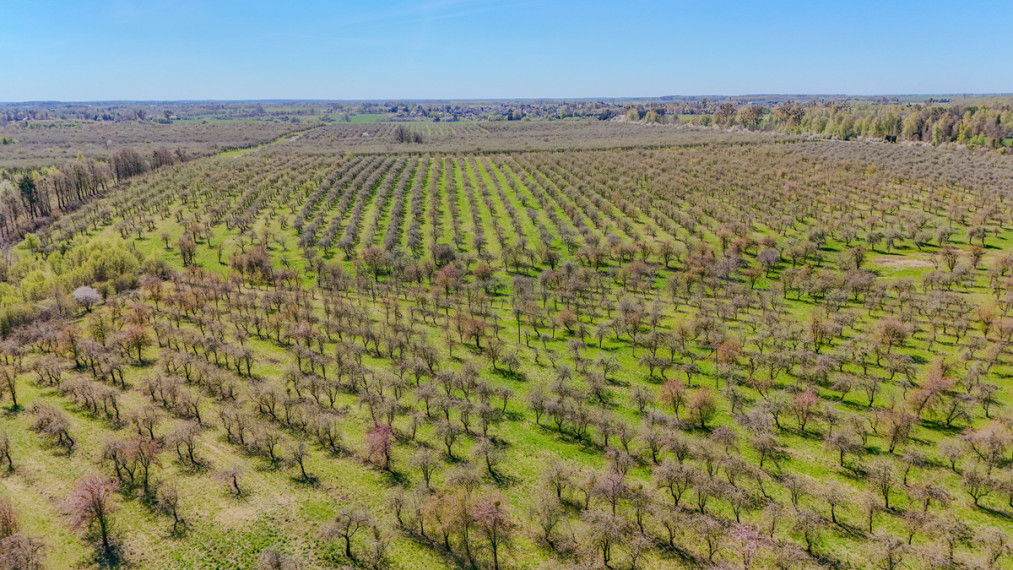 Parduodamas namas Panemunės g., Kėbliškių k., Prienų r. sav., 92.28 m2 ploto, 1 aukštai 21