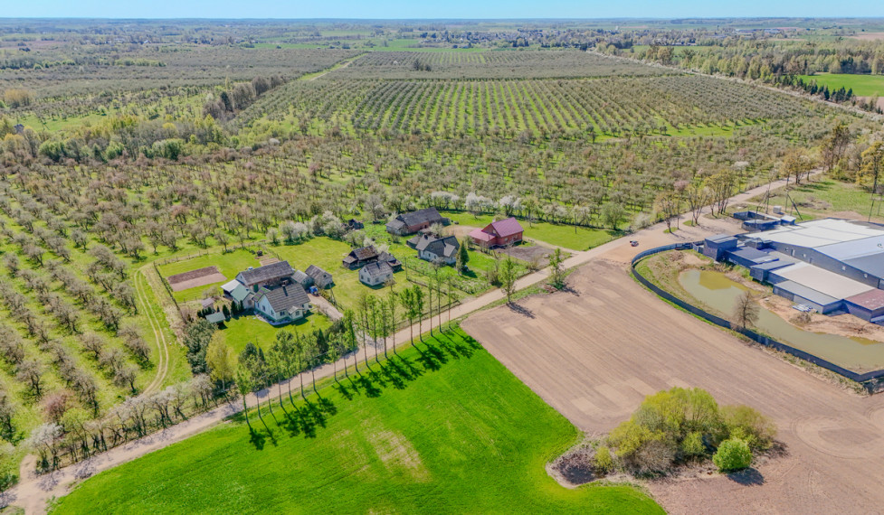 Parduodamas namas Panemunės g., Kėbliškių k., Prienų r. sav., 92.28 m2 ploto, 1 aukštai 22
