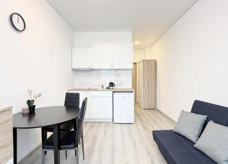 Parduodamas butas Naglio g., Petrašiūnai, Kauno m., Kauno m. sav., 21.00 m² ploto 1 kambarys Parduodamas butas Naglio g., Petrašiūnai, Kauno m., Kauno m. sav., 21.00 m² ploto 1 kambarys
