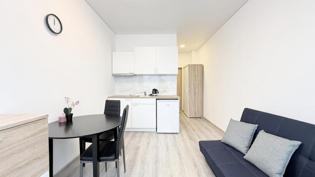 Parduodamas butas Naglio g., Petrašiūnai, Kauno m., Kauno m. sav., 21.00 m² ploto 1 kambarys 1
