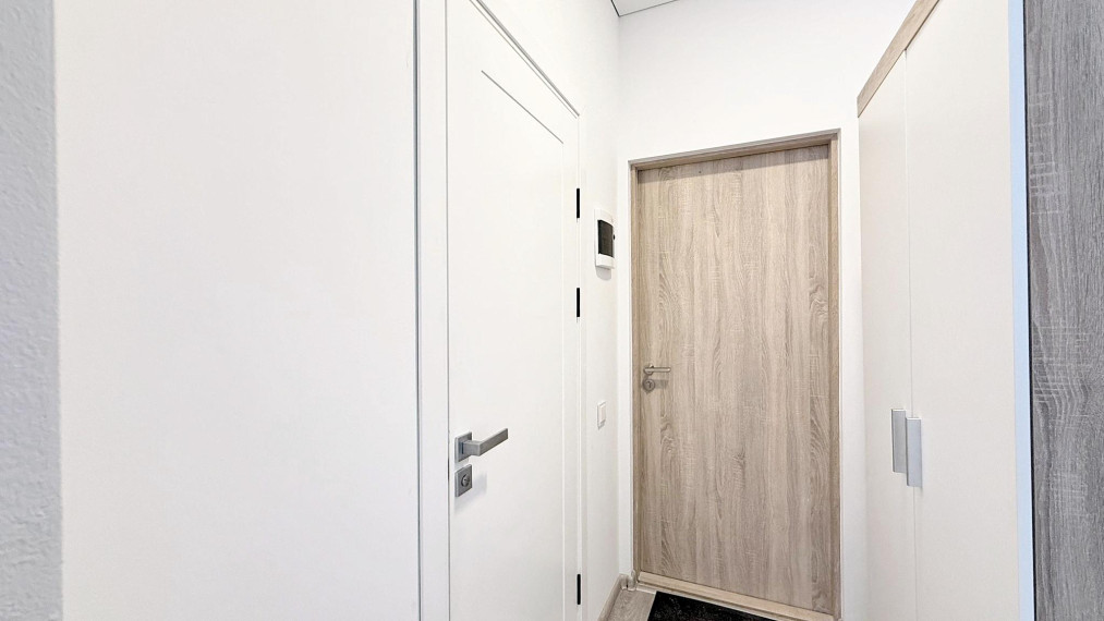 Parduodamas butas Naglio g., Petrašiūnai, Kauno m., Kauno m. sav., 21.00 m² ploto 1 kambarys 5