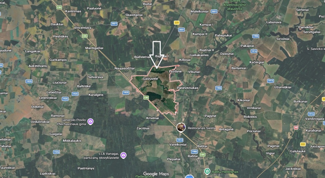 Parduodamas  sklypas Nemuno g., Gaižuvėlės k., Kauno r. sav., 11.66 a ploto 18