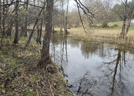 Parduodamas sklypas Lakajos k., Švenčionių r. sav., 33 a ploto Parduodamas sklypas Lakajos k., Švenčionių r. sav., 33 a ploto