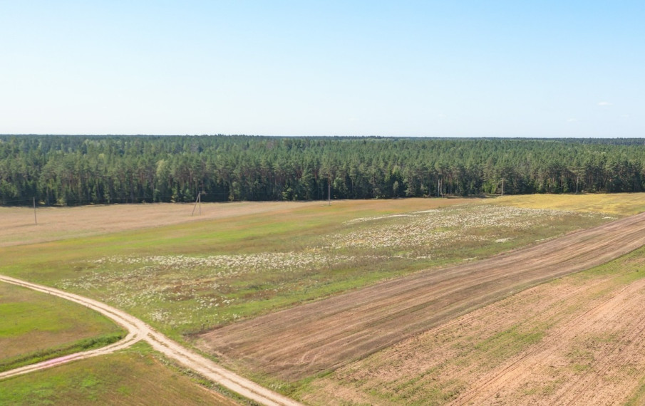 Parduodamas  sklypas Merkio g., Paluknio k., Trakų r. sav., 174.01 a ploto 4