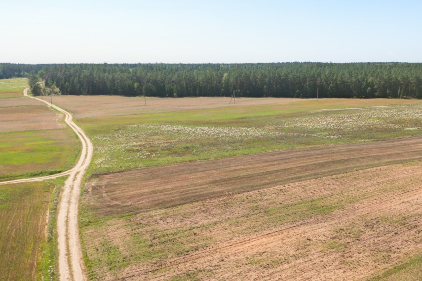 Parduodamas  sklypas Merkio g., Paluknio k., Trakų r. sav., 174.01 a ploto 6