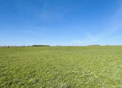 Parduodamas sklypas Beržų g., Rainių k., Telšių r. sav., 17.55 a ploto Parduodamas sklypas Beržų g., Rainių k., Telšių r. sav., 17.55 a ploto