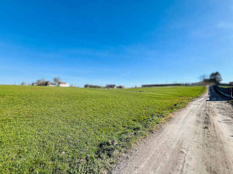 Parduodamas sklypas Beržų g., Rainių k., Telšių r. sav., 17.55 a ploto 5