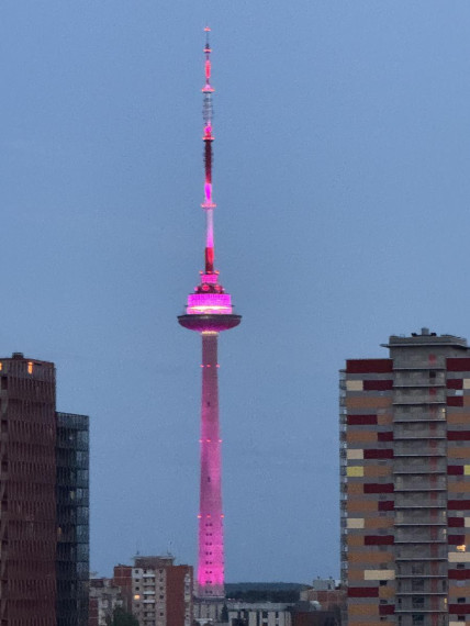 Parduodamas butas Viršuliškių g., Viršuliškės, Vilniaus m., Vilniaus m. sav., 32.59 m² ploto 1 kambarys 15