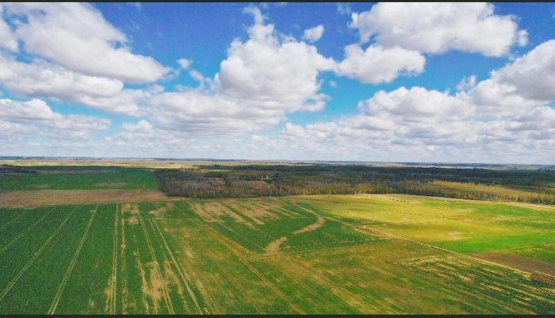 Parduodamas namas Guopio g., Kundrėnų k., Radviliškio r. sav., 61.94 m² ploto 3 kambariai 10