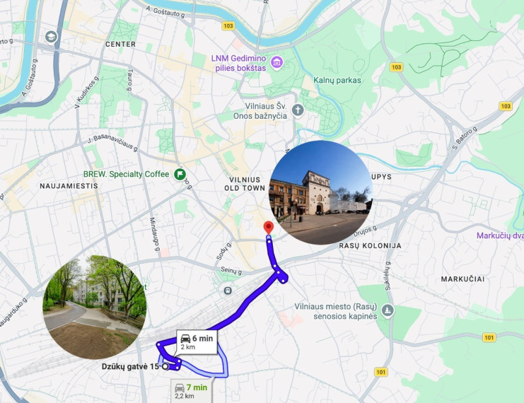 Nuomojamas butas Dzūkų g., Vilniaus m., Vilniaus m. sav., 29.19 m2 ploto, 1 kambariai 20