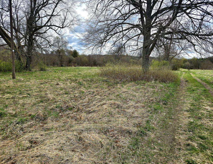 Parduodamas sklypas Baroniškės k., Švenčionių r. sav., 30.00 a ploto 6