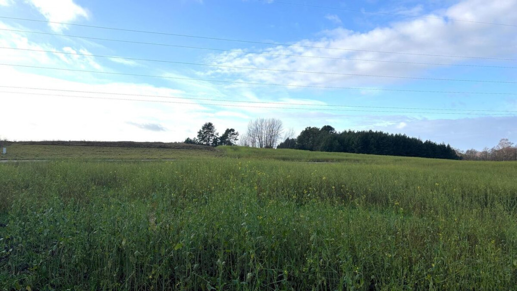 Parduodamas  sklypas Vaidaugų k., Alytaus r. sav., 100 a ploto 2
