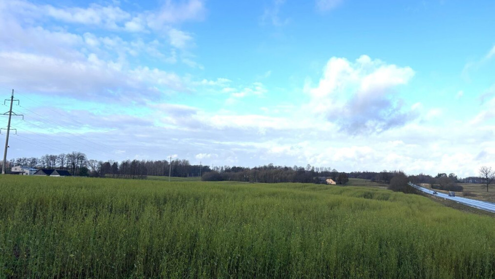 Parduodamas  sklypas Vaidaugų k., Alytaus r. sav., 100 a ploto 3