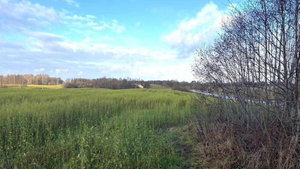 Parduodamas  sklypas Vaidaugų k., Alytaus r. sav., 100 a ploto 4