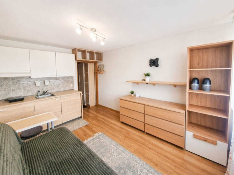 Parduodamas butas Vieškelio g., Rykštynės k., Kauno r. sav., 16.24 m2 ploto, 1 kambariai 2