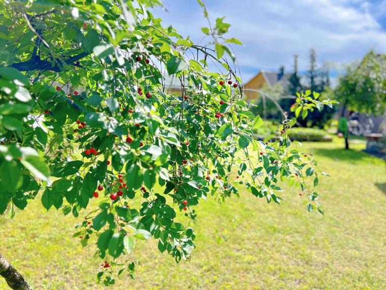 Parduodamas namas J. Pabrėžos g., Kretingos m., Kretingos r. sav., 55 m² ploto 2 kambariai 28