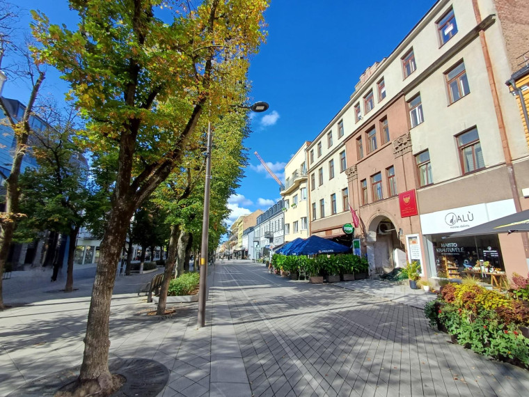 Parduodamos patalpos Laisvės al., Centras, Kauno m., Kauno m. sav., 101.99 m² ploto 1