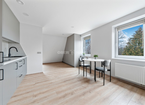 Nuomojamas butas Iždo g. , Jeruzalė, Vilniaus m., Vilniaus m. sav., 30 m2 ploto, 1 kambariai