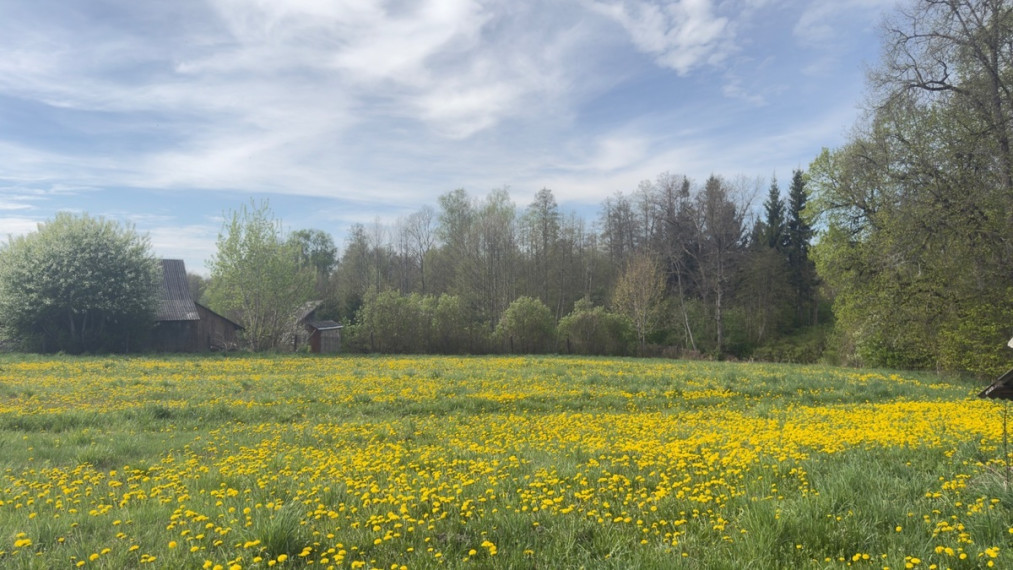 Parduodamas namas Alksnio g., Pamusių k., Varėnos r. sav., 66 m2 ploto, 1 aukštai 6