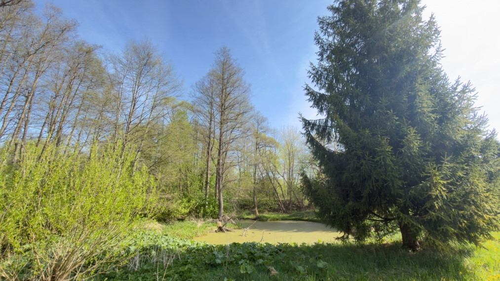 Parduodamas namas Alksnio g., Pamusių k., Varėnos r. sav., 66 m2 ploto, 1 aukštai 7