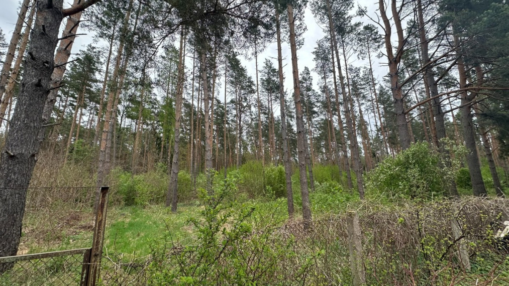 Parduodamas namas Pušų g., Gulbiniškių k., Jonavos r. sav., 72.7 m2 ploto, 2 aukštai 8