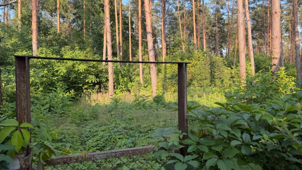 Parduodamas namas Pušų g., Gulbiniškių k., Jonavos r. sav., 72.7 m2 ploto, 2 aukštai 12