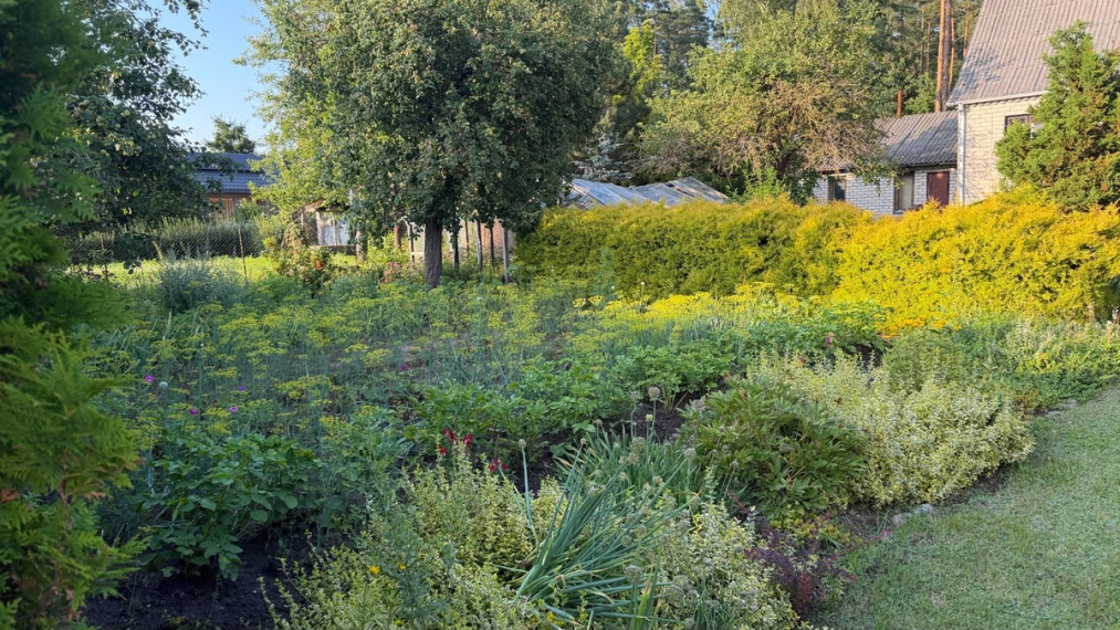 Parduodamas namas Pušų g., Gulbiniškių k., Jonavos r. sav., 72.7 m2 ploto, 2 aukštai 14