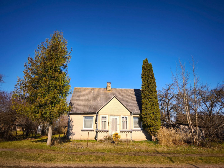 Parduodamas namas J. Biliūno g., Debeikių mstl., Anykščių r. sav., 68 m² ploto 3 kambariai 2