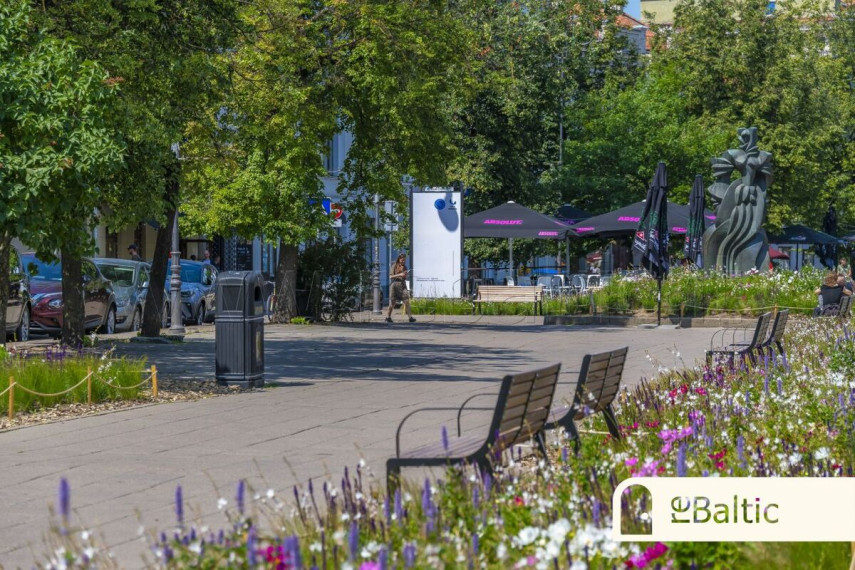 Nuomojamas butas Bazilijonų g., Vilniaus m., Vilniaus m. sav., 41.88 m2 ploto, 2 kambariai 43