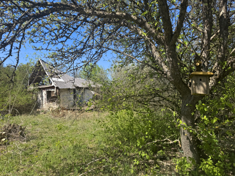 Parduodamas 6,23 ha sklypas su buvusia sdyba Jurgionių k., šalia Aukštadvario 10