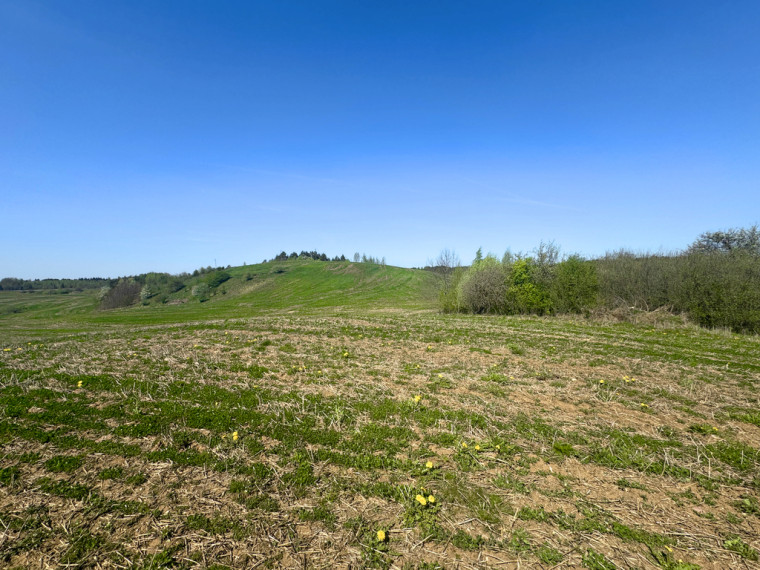 Parduodamas 6,23 ha sklypas su buvusia sdyba Jurgionių k., šalia Aukštadvario 11