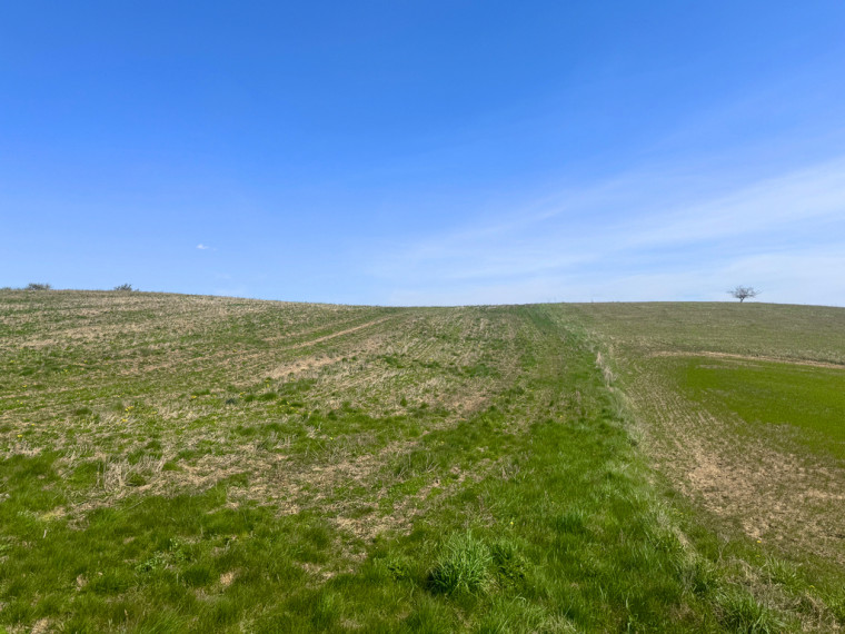 Parduodamas 6,23 ha sklypas su buvusia sdyba Jurgionių k., šalia Aukštadvario 14