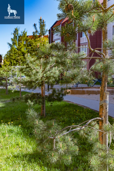 Parduodamas butas Jono Basanavičiaus g., Anykščių m., Anykščių r. sav., 64 m2 ploto, 3 kambariai 32
