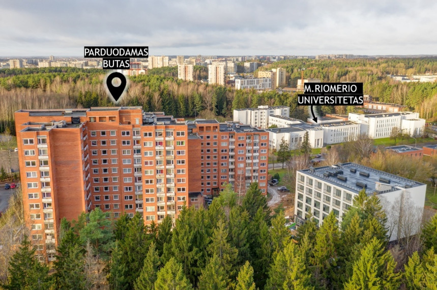 Parduodamas butas Didlaukio g., Vilniaus m., Vilniaus m. sav., 40 m2 ploto, 2 kambariai 26