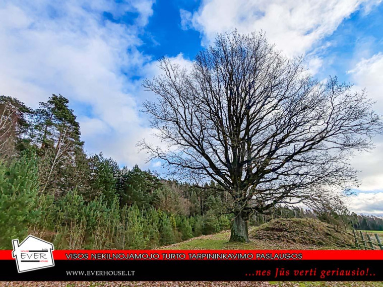 Parduodamas namas Galijevkos k., Jonavos r. sav., 60.00 m² ploto 3 kambariai 13