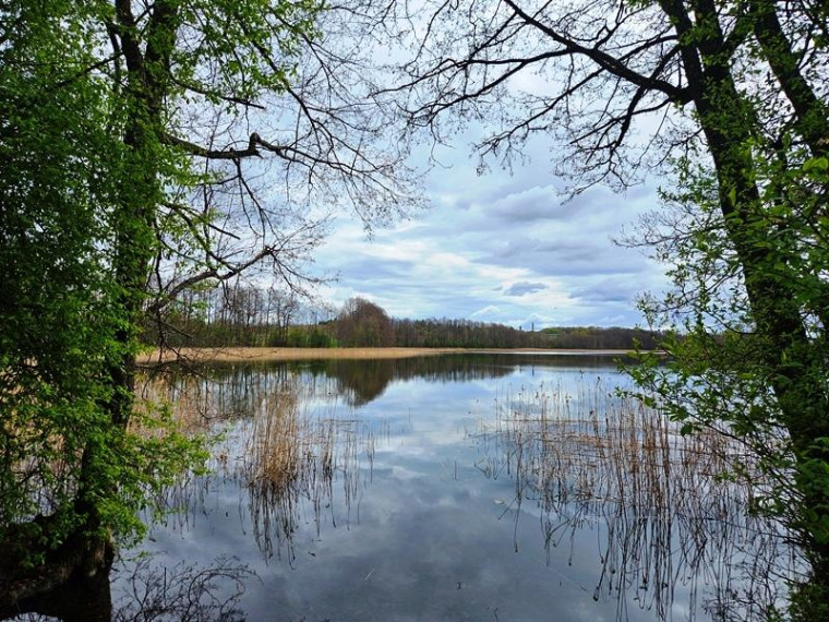 Parduodamas namas Subiškio k., Ignalinos r. sav., 67 m² ploto 3 kambariai 22
